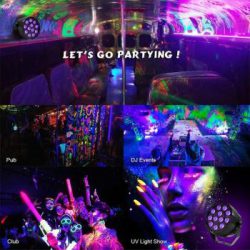 Stage Laser Disco Light - Image 4